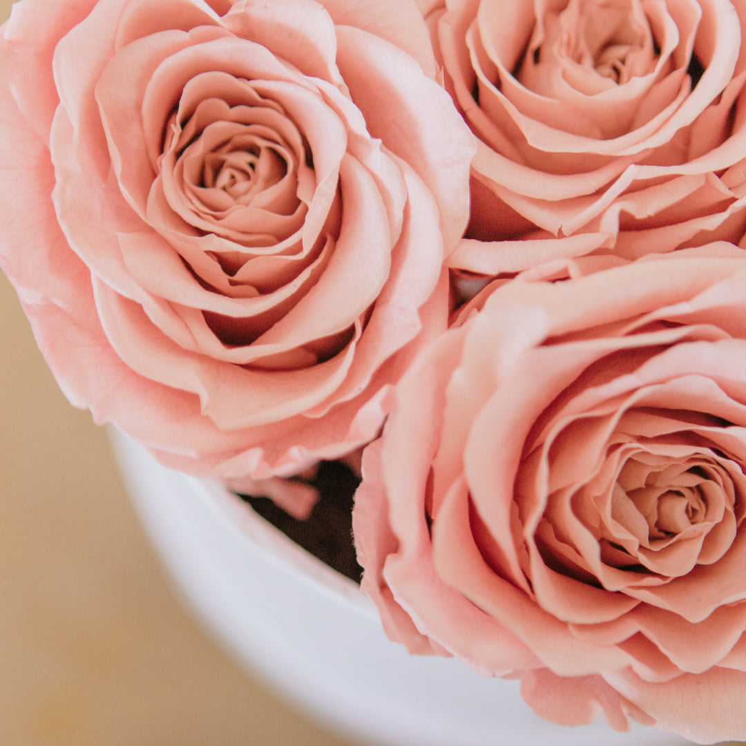 Eternas Roses EternaRoses – La Vie En Fleurs
